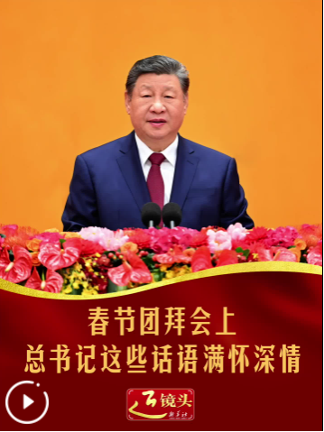 QQ_1771127209933