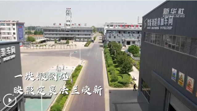 QQ_1772514431135