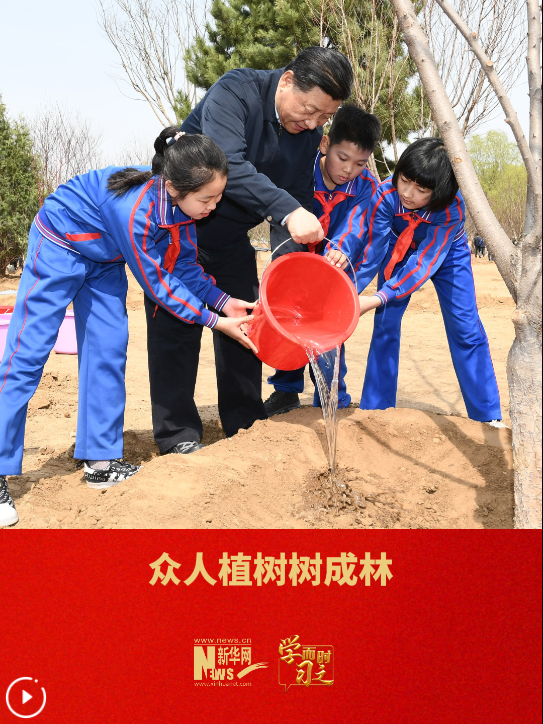 QQ_1773306709388