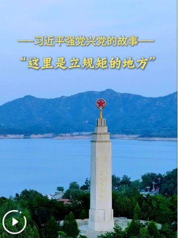 QQ_1782275182273