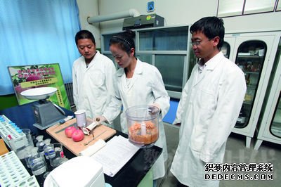 新思维| 乡果网 「果」 不其然