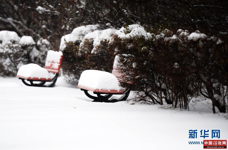 (生态)(3)哈尔滨发布暴雪红色预警 全城动员清冰雪