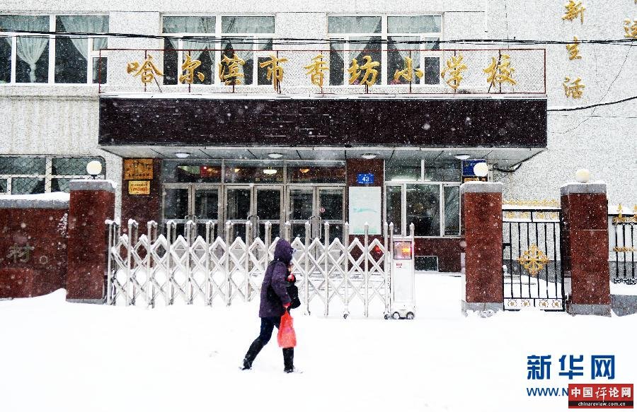 (关注东北大雪)(1)哈尔滨今冬首场暴雪致部分学校停课