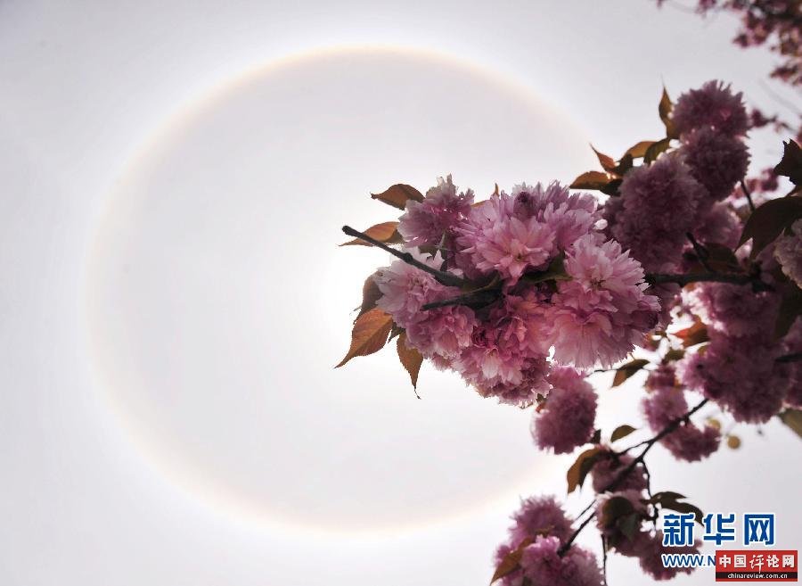 （晚报）（2）拉萨出现日晕景观