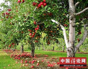 美国农村的悲惨生活（图）
