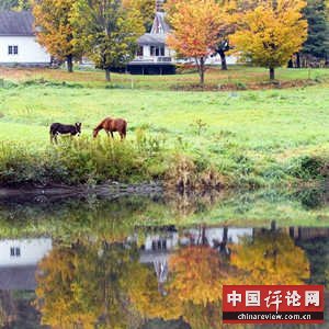 美国农村的悲惨生活（图）
