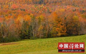 美国农村的悲惨生活（图）
