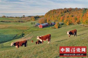 美国农村的悲惨生活（图）
