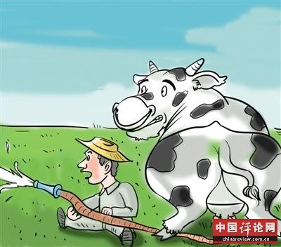 河北奶农因奶价狂跌每日倒奶 养猪户买鲜奶喂猪