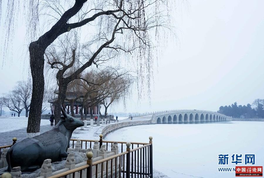 （生态）小雪降临北京