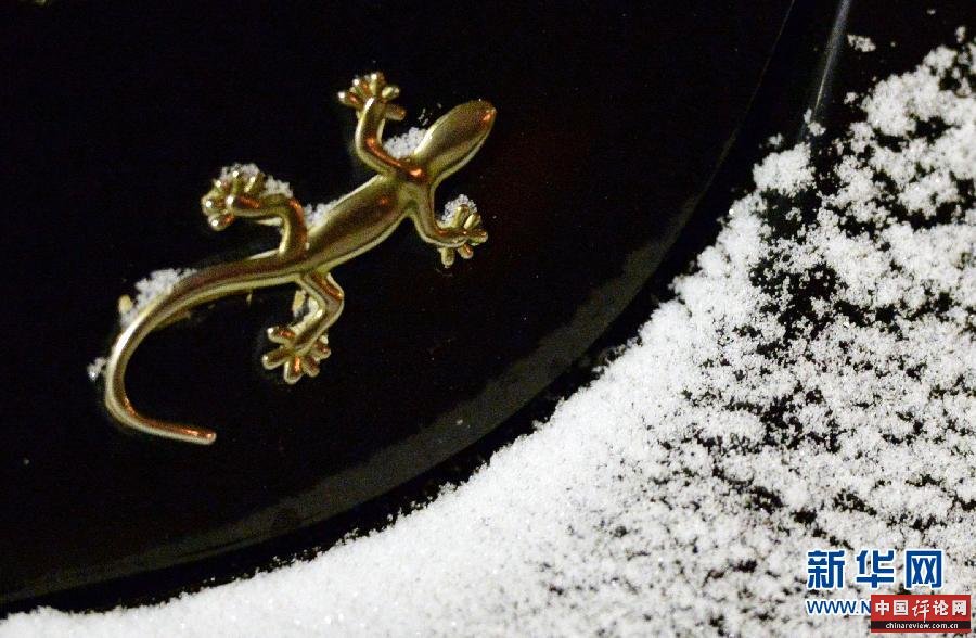 （生态）（5）雪花“光临”北京