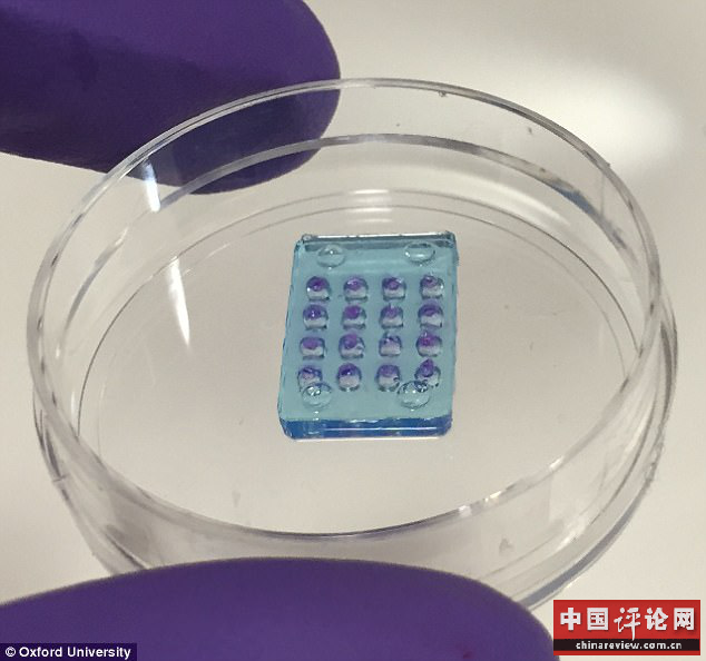 人造蛋白质视网膜问世,有望为盲人带来光明 图片1.png