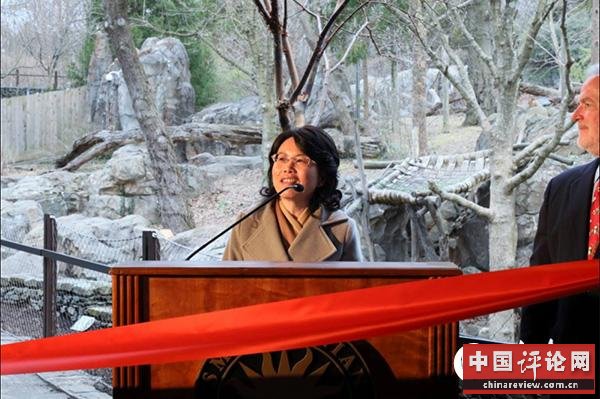 中国驻美国大使馆公使徐学渊在活动上致辞。摄影:高石