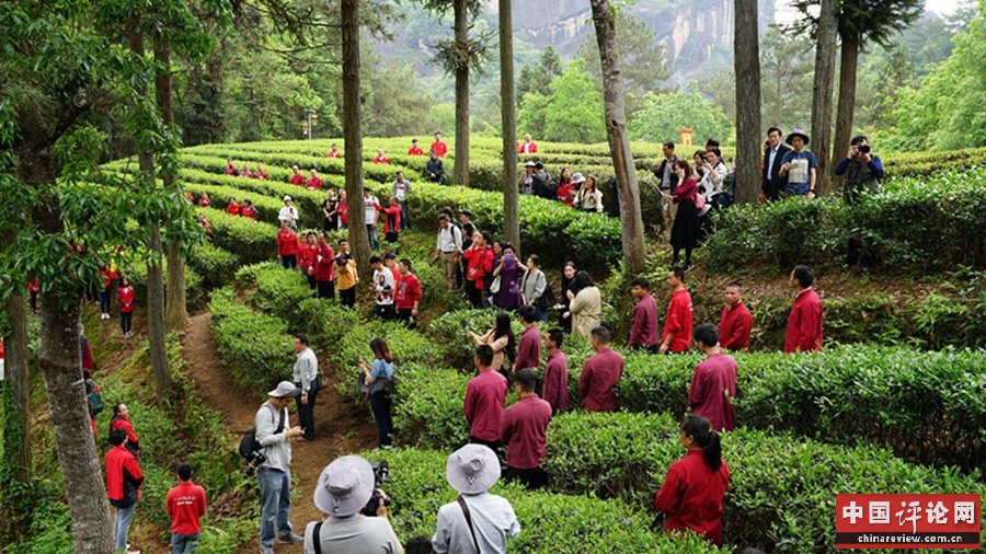 两岸网络新媒体记者参加“喊山祭茶”开茶仪式。（图片来源：福建省台港澳办 张宁）