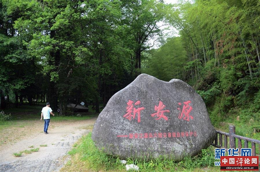 (新华全媒头条·图文互动)(3)问“江”哪得清如许——生态文明建设的“新安江实践”