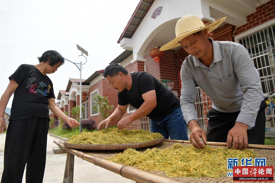 (新华全媒头条·图文互动)(6)幕阜山“搬穷”记