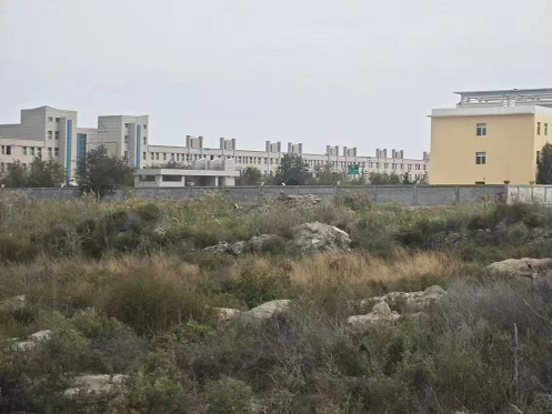 治国依法成空谈 – 寻求正义路有多远？